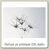 Palloja ja piikkejä Olli Aalto